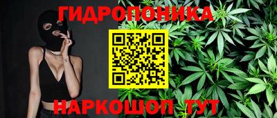 крисы Будённовск