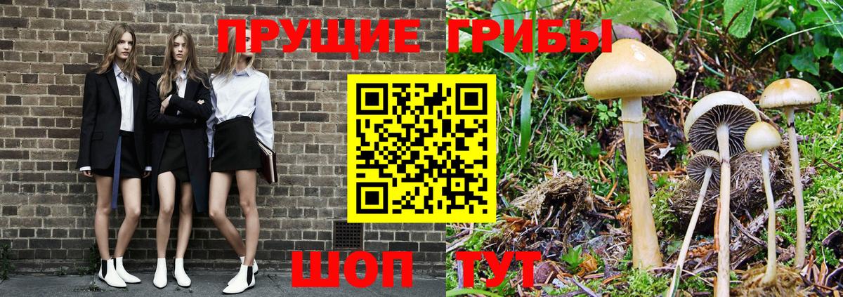 Галлюциногенные грибы прущие грибы Москва